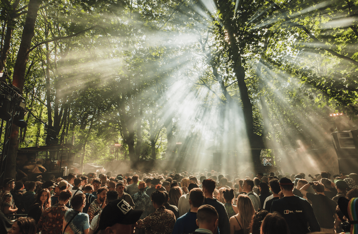 Gottwood announces first names for 2022 line-up