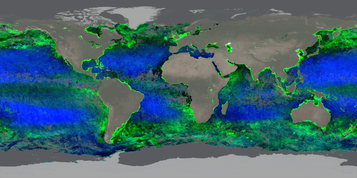 NASA scientist and brother create music from the ocean’s colour data: Listen
