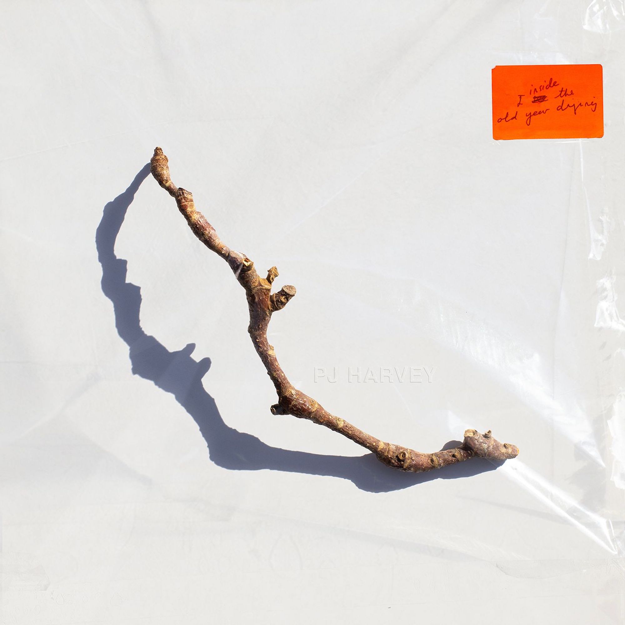 PJ Harvey 'I Inside The Old Year Dying' album artwork