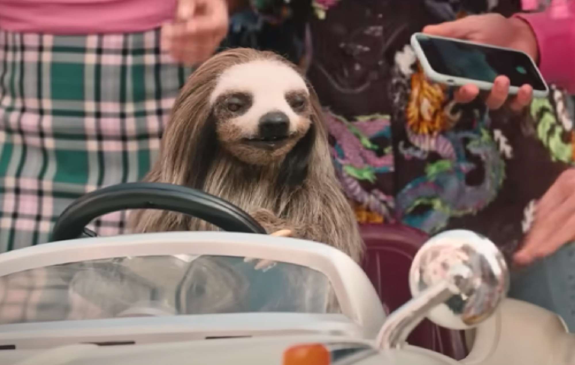 Social media reacts to trailer for “killer sloth” horror movie ‘Slotherhouse’: “Cinema is so back”