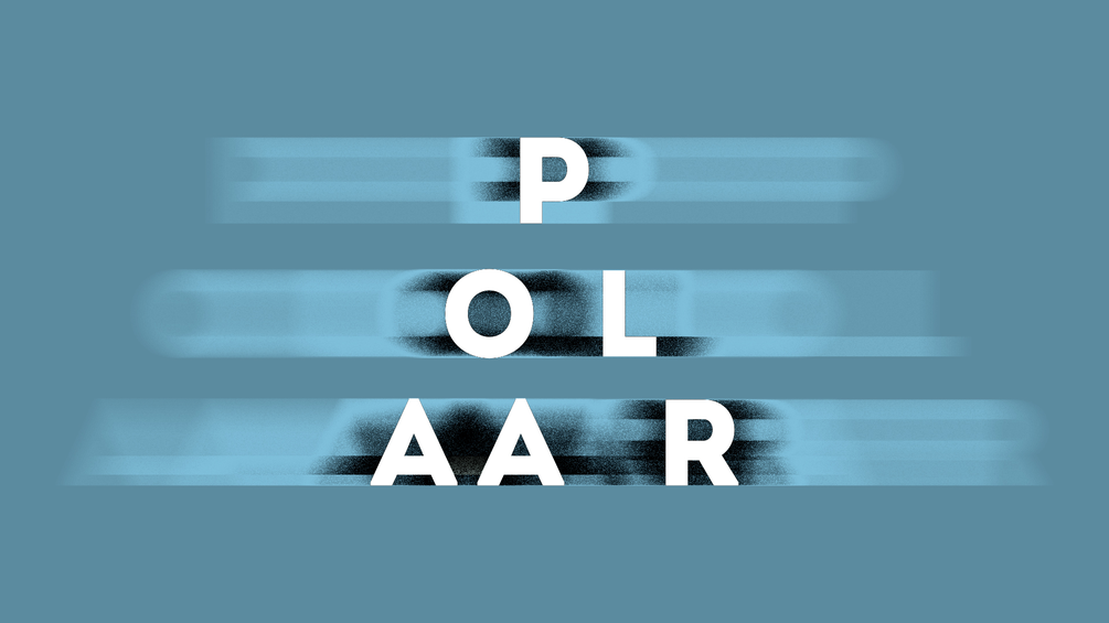 The Sound Of: POLAAR