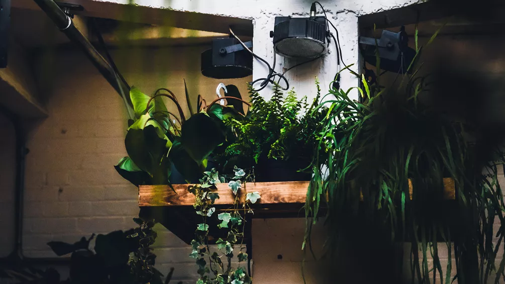 The Cause opens new 200-capacity loft venue, Vittoria Wharf